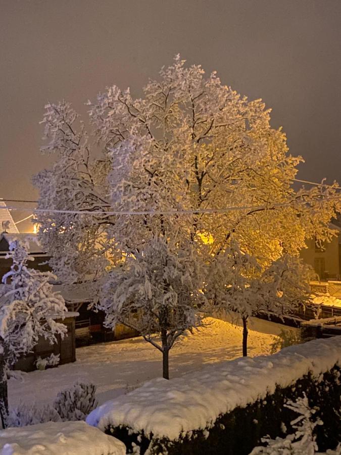 Chez Nono Villa Mitzach Екстериор снимка